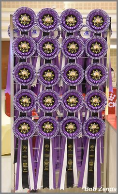 Beautiful rosettes